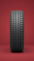 Track-Day Radial with Reinforced Sidewalls